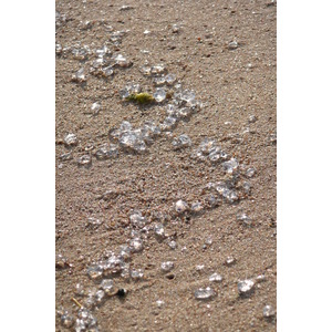 รูปถ่าย ฝรั่งเศส(France) คานส์(Cannes) หาดทราย(Beach) 2008-04 26