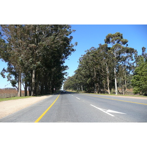 รูปถ่าย แอฟริกาใต้(South Africa) ถนนจากเคปทาวน์ไปเฮอร์มานัส(Cape Town to Harmanus road) 2008-09 19