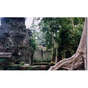 รูปถ่าย กัมพูชา(Cambodia) นครวัต(Angkor) 1996-06 35