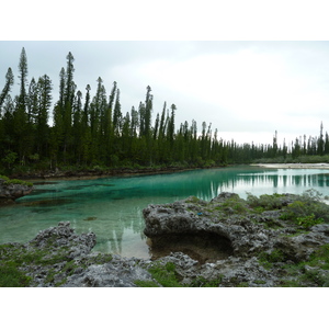 รูปถ่าย นิวแคลิโดเนีย(New Caledonia) 2010-05 20
