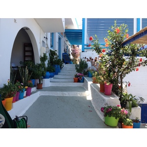 รูปถ่าย กรีก(Greece) เกาะอามอร์กอส(Amorgos) 2014-07 180