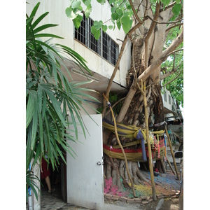 รูปถ่าย ไทย(Thailand) เชียงใหม่(Chiang Mai) 2006-04 15