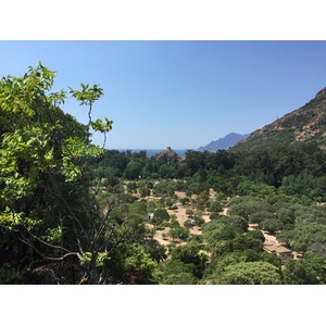 รูปถ่าย ฝรั่งเศส(France) คอร์สิคา(Corsica) ปอร์โต(Porto) 2015-05 47