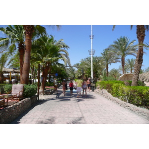 รูปถ่าย อียิปต์(Egypt) ชาร์มเอลชีค(Sharm el Sheikh) 2008-06 81