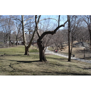 รูปถ่าย สหรัฐอเมริกา(United States) นิวยอร์ก(New York) เซ็นทรัลพาร์ก(Central Park) 2006-03 16