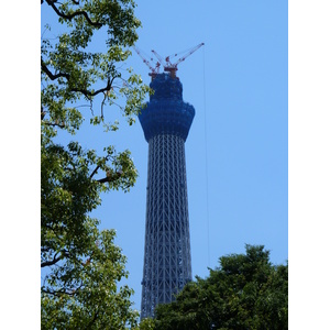 รูปถ่าย ญี่ปุ่น(Japan) โตเกียว(Tokyo) ซุมิดะ(Sumida) 2010-06 35