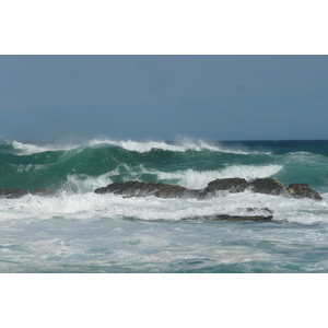 รูปถ่าย แอฟริกาใต้(South Africa) อุทยานแห่งชาติซิตซิคัมมา(Tsitsikamma National Park) 2008-09 223