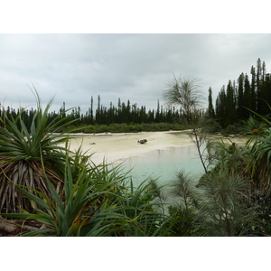 รูปถ่าย นิวแคลิโดเนีย(New Caledonia) เกาะต้นสน(Ile des pins) อ่าวโอโร(Oro Bay) 2010-05 43