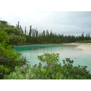 รูปถ่าย นิวแคลิโดเนีย(New Caledonia) เกาะต้นสน(Ile des pins) อ่าวโอโร(Oro Bay) 2010-05 46