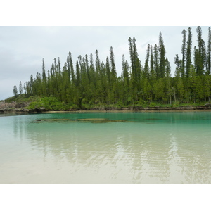 รูปถ่าย นิวแคลิโดเนีย(New Caledonia) เกาะต้นสน(Ile des pins) อ่าวโอโร(Oro Bay) 2010-05 66