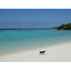รูปถ่าย นิวแคลิโดเนีย(New Caledonia) เกาะลีฟู(Lifou) หมู่บ้านมู(Mu) 2010-05 53