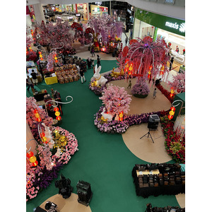 รูปถ่าย มาเลเซีย(Malaysia) กัวลาลัมเปอร์(Kuala Lumpur) 2023-01 208