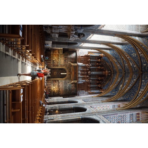 รูปถ่าย ฝรั่งเศส(France) อัลบี(Albi) มหาวิหารอัลบี(Albi Cathedral) 2017-08 48