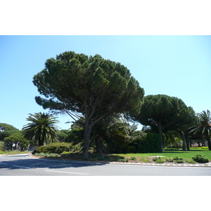 รูปถ่าย ฝรั่งเศส(France) เฟรนช์ริวิเอรา(French Riviera) คาบสมุทรอีแยร์(Hyeres peninsula) 2008-05 3