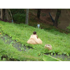 รูปถ่าย นิวแคลิโดเนีย(New Caledonia) ศูนย์วัฒนธรรมฌีบาอู(Tjibaou Cultural Centre) 2010-05 18