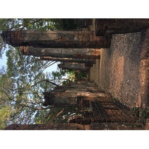รูปถ่าย ไทย(Thailand) อุทยานประวัติศาสตร์ศรีสัชนาลัย(Si satchanalai historical park) 2014-12 43