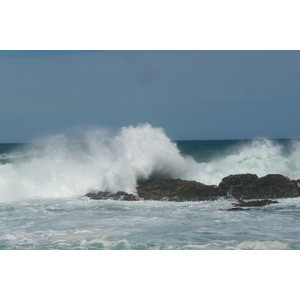 รูปถ่าย แอฟริกาใต้(South Africa) อุทยานแห่งชาติซิตซิคัมมา(Tsitsikamma National Park) 2008-09 203