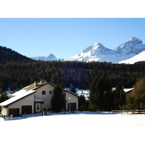รูปถ่าย สวิสเซอร์แลนด์(Switzerland) ปองเทรซีน่า(Pontresina) 2007-01 102