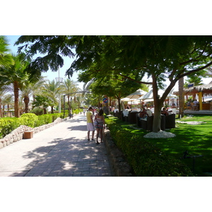 รูปถ่าย อียิปต์(Egypt) ชาร์มเอลชีค(Sharm el Sheikh) 2008-06 41