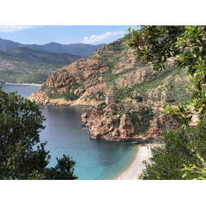 รูปถ่าย ฝรั่งเศส(France) คอร์สิคา(Corsica) 2021-05 51