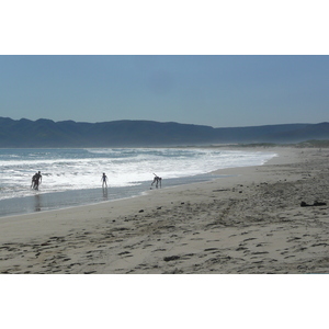 รูปถ่าย แอฟริกาใต้(South Africa) ถนนจากเคปทาวน์ไปเฮอร์มานัส(Cape Town to Harmanus road) 2008-09 8