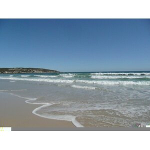 รูปถ่าย แอฟริกาใต้(South Africa) ถนนจากเคปทาวน์ไปเฮอร์มานัส(Cape Town to Harmanus road) 2008-09 86