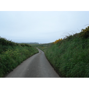 รูปถ่าย อังกฤษ(United Kingdom) เปมโบรคเชอร์(Pembrokeshire) 2006-05 8
