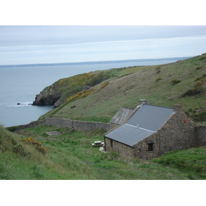 รูปถ่าย อังกฤษ(United Kingdom) เปมโบรคเชอร์(Pembrokeshire) มาร์ตินส์เฮเวน(Martins Havens) 2006-05 24