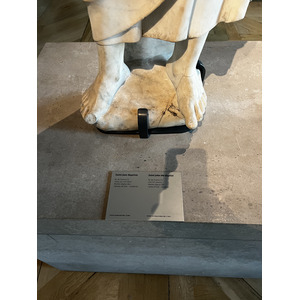 รูปถ่าย ฝรั่งเศส(France) ปารีส(Paris) พิพิธภัณฑ์กลูนี(Cluny Museum) 2023-02 10