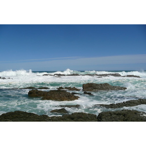 รูปถ่าย แอฟริกาใต้(South Africa) อุทยานแห่งชาติซิตซิคัมมา(Tsitsikamma National Park) 2008-09 288
