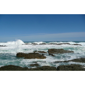 รูปถ่าย แอฟริกาใต้(South Africa) อุทยานแห่งชาติซิตซิคัมมา(Tsitsikamma National Park) 2008-09 162