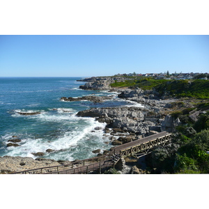 รูปถ่าย แอฟริกาใต้(South Africa) เฮอร์มานัส(Harmanus) 2008-09 294