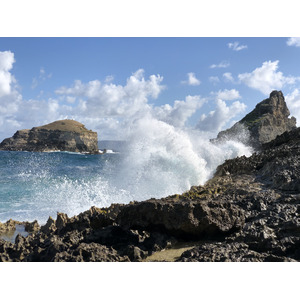รูปถ่าย กวาเดอลูป(Guadeloupe) แหลมคาสเซิลพอยต์(Castle Point) 2021-02 61