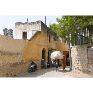 รูปถ่าย โมร็อกโก(Morocco) เฟส(Fes) 2008-07 98
