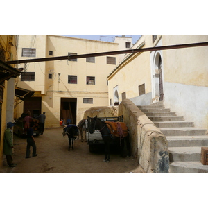 รูปถ่าย โมร็อกโก(Morocco) เฟส(Fes) 2008-07 12