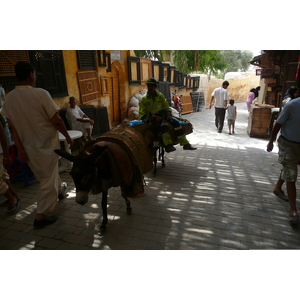 รูปถ่าย โมร็อกโก(Morocco) เฟส(Fes) 2008-07 7