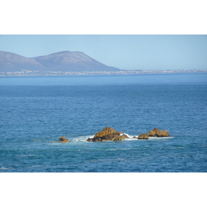 รูปถ่าย แอฟริกาใต้(South Africa) เฮอร์มานัส(Harmanus) 2008-09 221