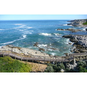 รูปถ่าย แอฟริกาใต้(South Africa) เฮอร์มานัส(Harmanus) 2008-09 245