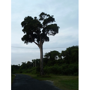 รูปถ่าย นิวแคลิโดเนีย(New Caledonia) เกาะต้นสน(Ile des pins) 2010-05 30