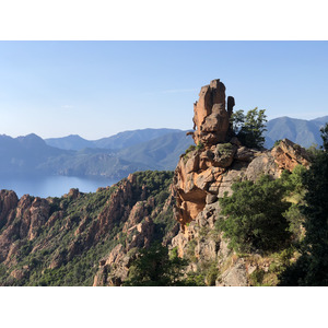 รูปถ่าย ฝรั่งเศส(France) คอร์สิคา(Corsica) 2021-05 2