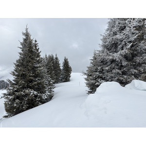 รูปถ่าย ฝรั่งเศส(France) ปรา-ซูร์-อาร์ลี(Praz sur Arly) 2025-02 53