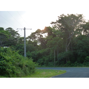 รูปถ่าย นิวแคลิโดเนีย(New Caledonia) เกาะต้นสน(Ile des pins) 2010-05 32