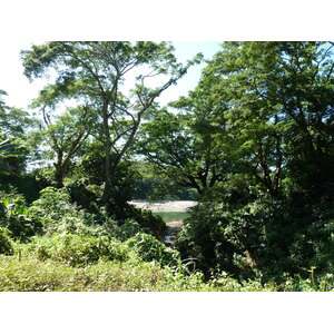 รูปถ่าย ฟิจิ(Fiji) แม่น้ำซิงกาโตกา(Sigatoka river) 2010-05 26