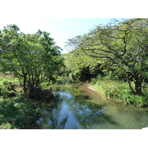 รูปถ่าย ฟิจิ(Fiji) แม่น้ำซิงกาโตกา(Sigatoka river) 2010-05 65