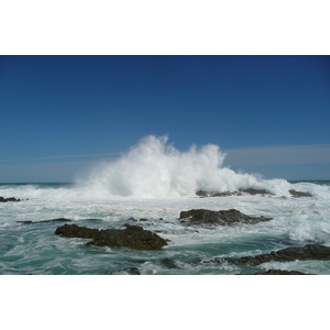 รูปถ่าย แอฟริกาใต้(South Africa) อุทยานแห่งชาติซิตซิคัมมา(Tsitsikamma National Park) 2008-09 186