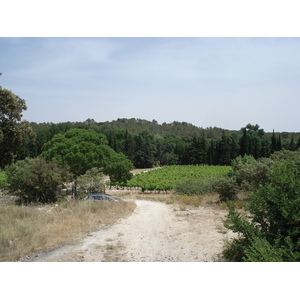 รูปถ่าย ฝรั่งเศส(France) โซเมียร์(Sommieres) 2006-06 16