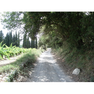 รูปถ่าย ฝรั่งเศส(France) โซเมียร์(Sommieres) 2006-06 125