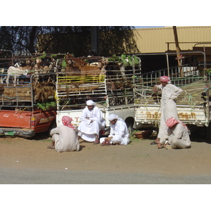 รูปถ่าย สหรัฐอาหรับเอมิเรตส์(United Arab Emirates) อาเลอิน(Al Ain) 2005-03 66
