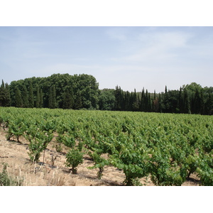 รูปถ่าย ฝรั่งเศส(France) โซเมียร์(Sommieres) 2006-06 130