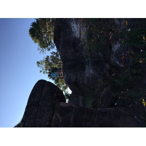 รูปถ่าย ไทย(Thailand) อุทยานแห่งชาติภูหินร่องกล้า(Phu Hin Rong Kla National Park) 2014-12 137